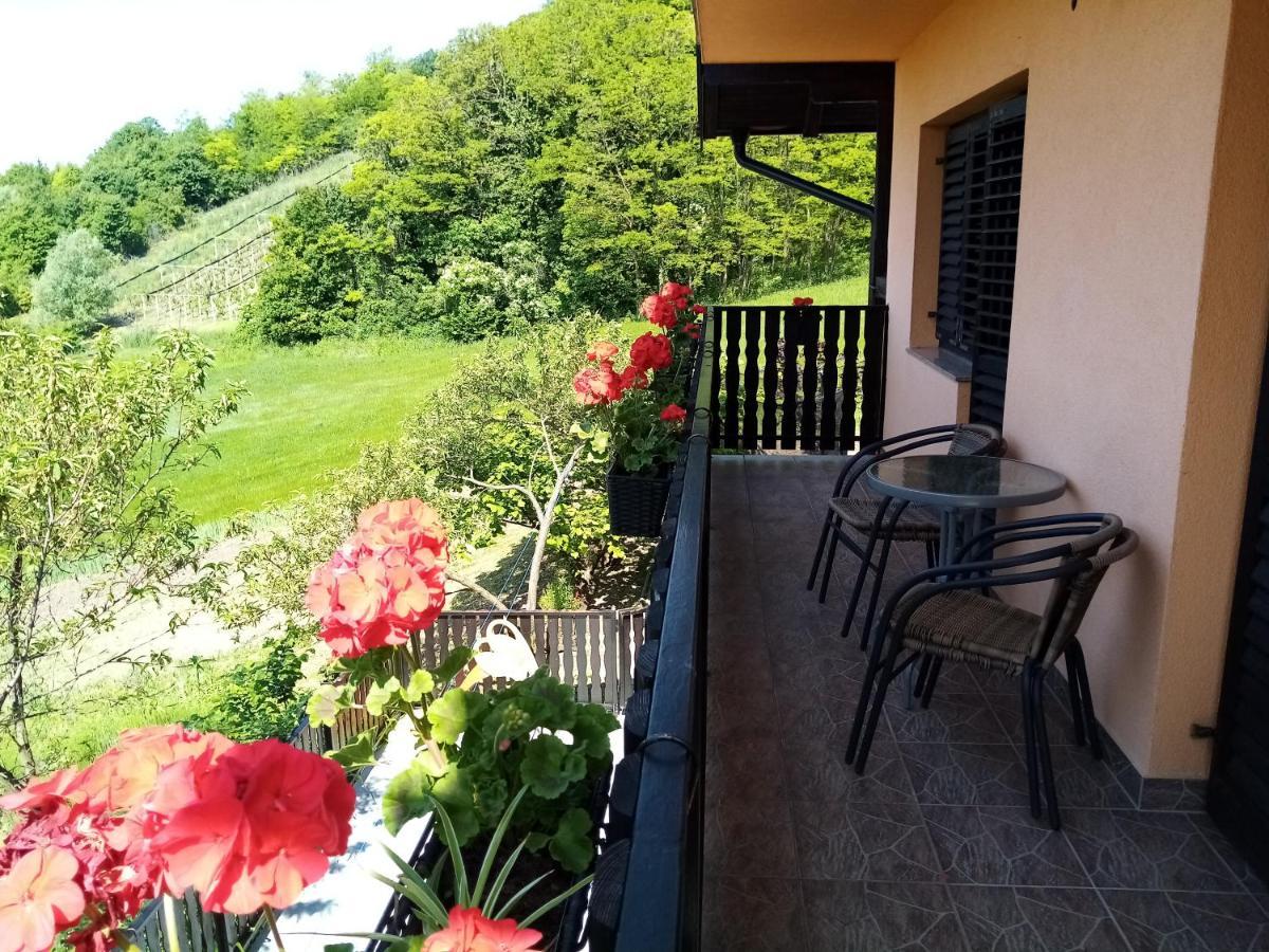 Apartman Potocki Krapina Extérieur photo