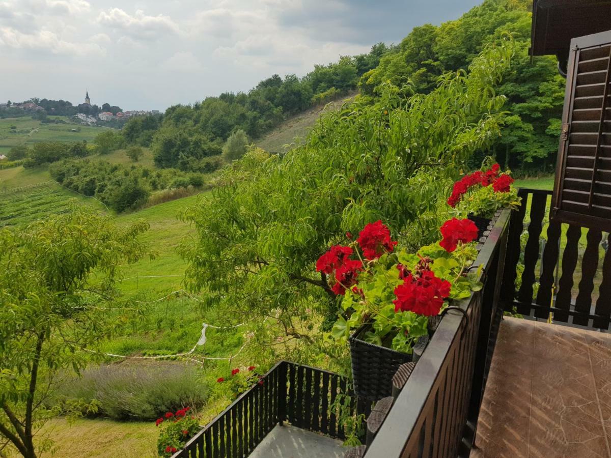 Apartman Potocki Krapina Extérieur photo