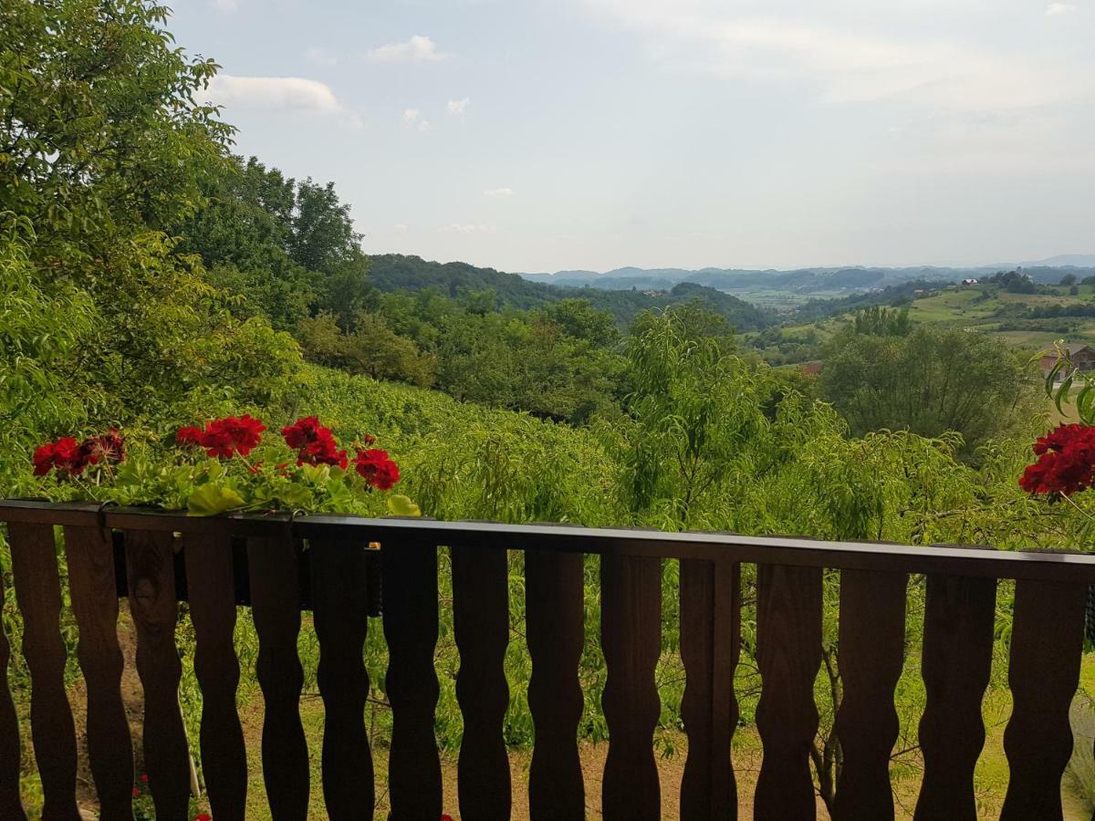 Apartman Potocki Krapina Extérieur photo